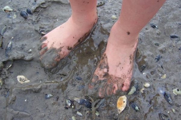 Chalet le Paradis location colombier cote-nord 28